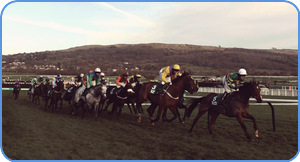 The Cheltenham Horse Race Picture