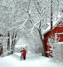 Finland winter