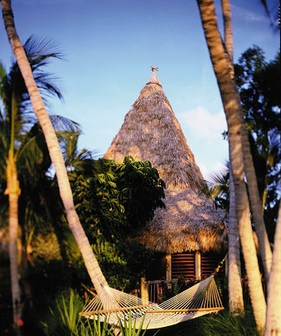 Hammock in the Florida Keys