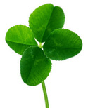 Irish lottery syndicate and group playing