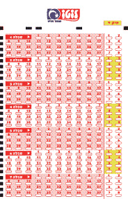 Israel Lotto Lottery Blank Coupon slip