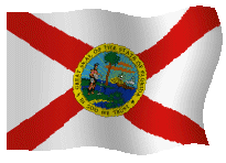 Florida animated flag